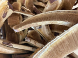 Reishi Mushroom Loose Herb